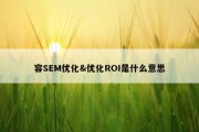 容SEM优化&amp;优化ROI是什么意思