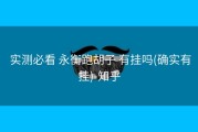  实测必看 永衡跑胡子 有挂吗(确实有挂)-知乎