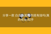 分享一款 白金岛湘潭 到底有挂吗(真的有挂)知乎