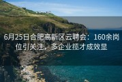 6月25日合肥高新区云聘会：160余岗位引关注，多企业揽才成效显