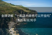 金牌讲解“一起温州麻将可以开挂吗”(真的有挂)知乎