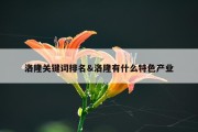 洛隆关键词排名&amp;洛隆有什么特色产业