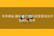  导师揭秘 趣味板子炮 到底那里有挂开挂教程-知乎