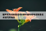 辅导班电话销售话术&amp;课外辅导班电话销售话术技巧开场白