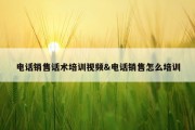 电话销售话术培训视频&amp;电话销售怎么培训
