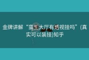 金牌讲解“蛮王大厅有透视挂吗”(真实可以装挂)知乎