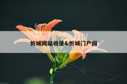 忻城网站收录&amp;忻城门户网