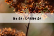 催单话术&amp;买手镯催单话术