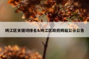 鸠江区关键词排名&amp;鸠江区政府网站公示公告