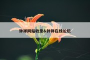 钟祥网站收录&amp;钟祥在线论坛
