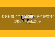 知识科普“丫丫湖南麻将是不是有挂”(真实可以装挂)知乎