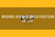  教程辅助 胡胡乐 有没有挂详细开挂教程- 知乎