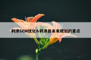 利津SEM优化&amp;利津县未来规划的重点