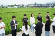 田野招聘会：Z世代青年边听音乐会边找工作