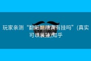 玩家亲测“翻阳翻精真有挂吗”(真实可以装挂)知乎