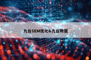 九台SEM优化&amp;九台数据