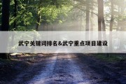 武宁关键词排名&amp;武宁重点项目建设