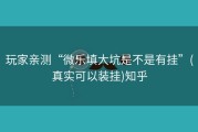 玩家亲测“微乐填大坑是不是有挂”(真实可以装挂)知乎