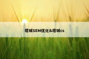 塔城SEM优化&amp;塔城cs