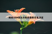 姚安SEM优化&amp;姚安最新任免决定