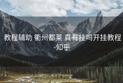  教程辅助 衢州都莱 真有挂吗开挂教程-知乎
