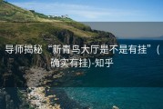 导师揭秘“新青鸟大厅是不是有挂”(确实有挂)-知乎