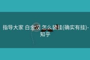  指导大家 白金汉 怎么装挂(确实有挂)-知乎