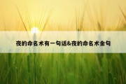 夜的命名术有一句话&amp;夜的命名术金句