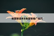 微营销话术&amp;微营销推广技巧