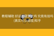  教程辅助 好运大菠萝比鸡 究竟有挂吗(真实可以装挂)知乎