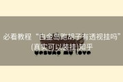 必看教程“白金岛跑胡子有透视挂吗”(真实可以装挂)知乎