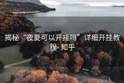 揭秘“夜夏可以开挂吗”详细开挂教程- 知乎