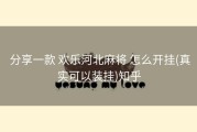  分享一款 欢乐河北麻将 怎么开挂(真实可以装挂)知乎