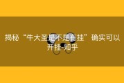 揭秘“牛大圣是不是有挂”确实可以开挂-知乎