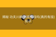  揭秘 功夫川麻 到底有挂吗(真的有挂)知乎