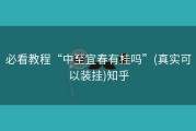 必看教程“中至宜春有挂吗”(真实可以装挂)知乎