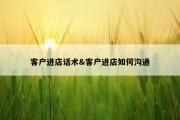 客户进店话术&amp;客户进店如何沟通