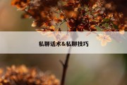 私聊话术&amp;私聊技巧