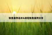 销售案例话术&amp;简短销售案例分享