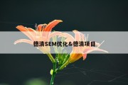 德清SEM优化&amp;德清项目