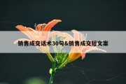 销售成交话术30句&amp;销售成交短文案