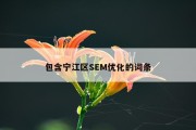 包含宁江区SEM优化的词条