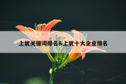上犹关键词排名&amp;上犹十大企业排名