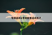 专利话术&amp;专利销售话术例子