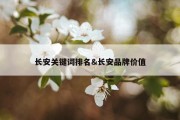 长安关键词排名&amp;长安品牌价值