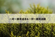 一对一聊天话术&amp;一对一聊天话题