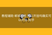 教程辅助 郸城打枪 可以开挂吗确实可以开挂-知乎