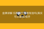  金牌讲解 乐酷副厅 究竟有挂吗(真实可以装挂)知乎