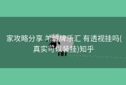  家攻略分享 羊城牌乐汇 有透视挂吗(真实可以装挂)知乎