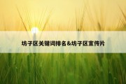 坊子区关键词排名&amp;坊子区宣传片
